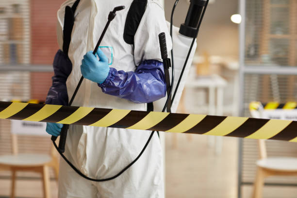 Professional Sewage Cleanup technician working in Tahoe Vista, CA